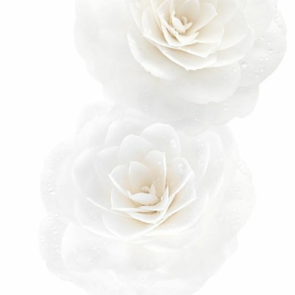 Meet your Posher, Zooey - Picture 1 of 1